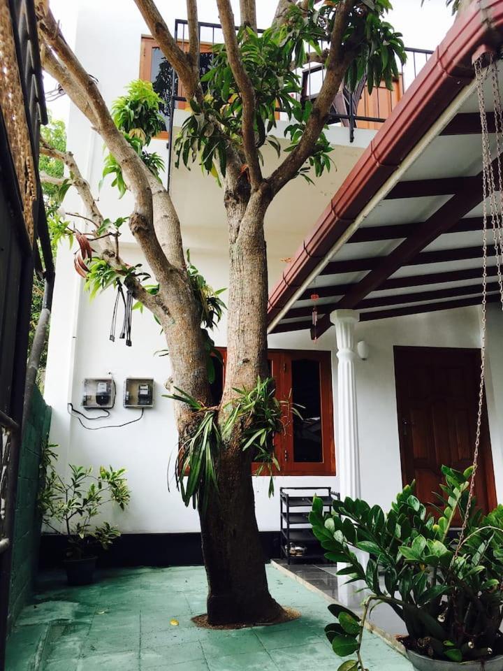 House Of Seya Bed & Breakfast Negombo Ngoại thất bức ảnh