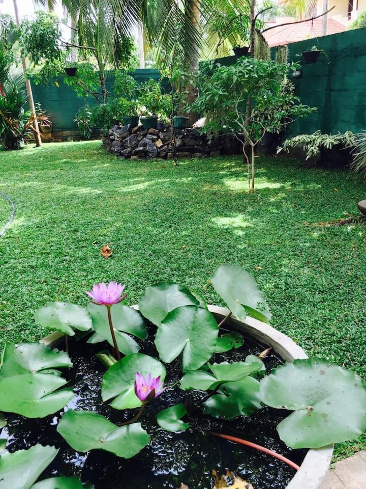 House Of Seya Bed & Breakfast Negombo Ngoại thất bức ảnh