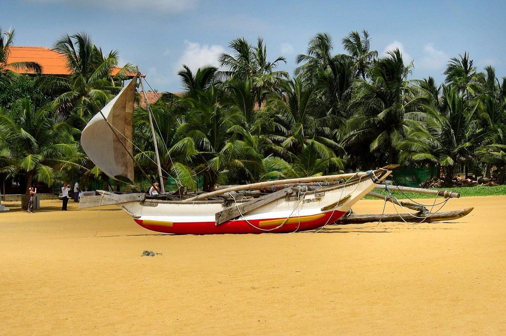 House Of Seya Bed & Breakfast Negombo Ngoại thất bức ảnh
